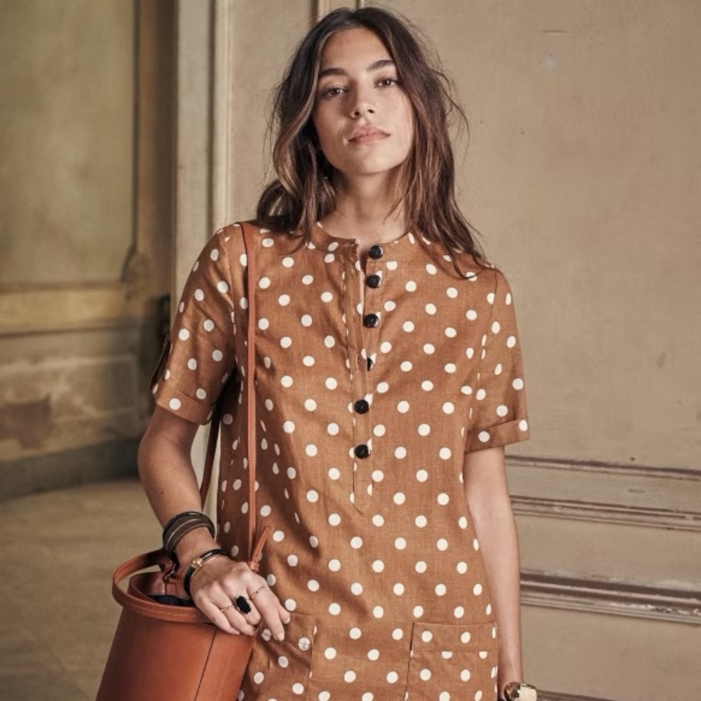 Sezane Alma Brown Polka Dot Dress